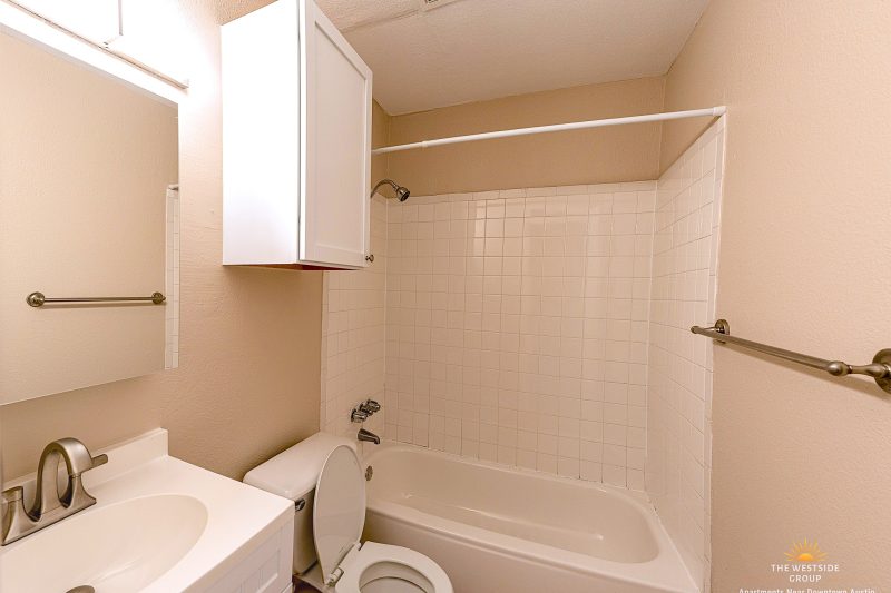 bathtub-toilet