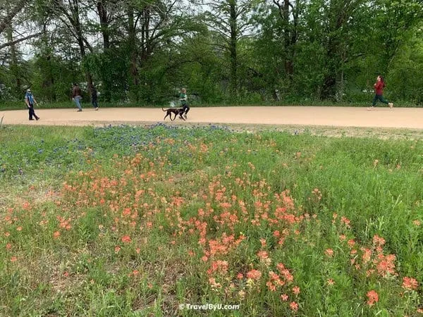 Jogging on Downtown Trail